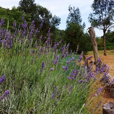 Agricamping Ponteraggio N.1 Dolceacqua