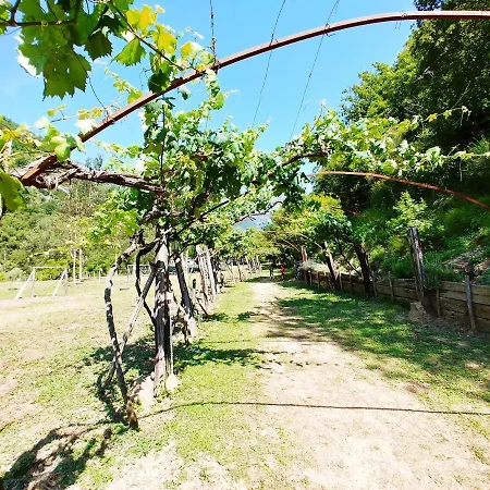 캠프장 Agricamping Ponteraggio N.1 *