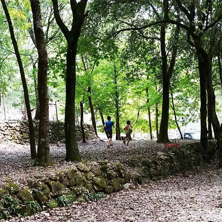 营地 Agricamping Ponteraggio N.1 多尔切阿夸