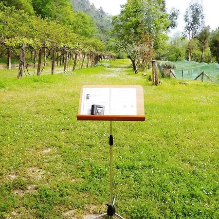 Agricamping Ponteraggio N.1