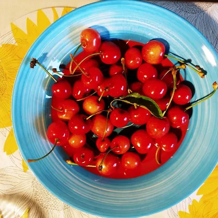 Agricamping Ponteraggio N.1 돌체아쿠아