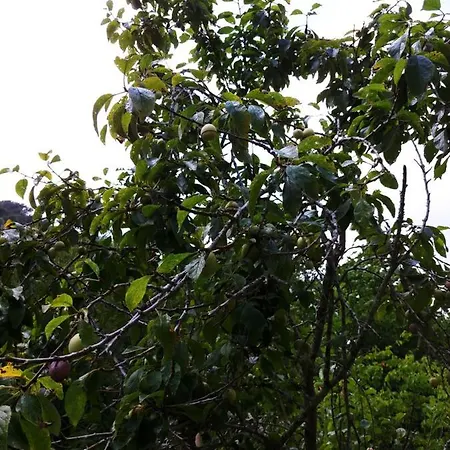 Agricamping Ponteraggio N.1 Campingplatz *