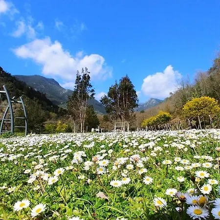 캠프장 Agricamping Ponteraggio N.1 *