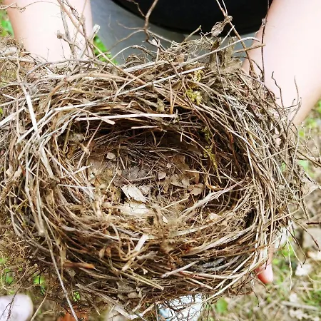 Agricamping Ponteraggio N.1 *