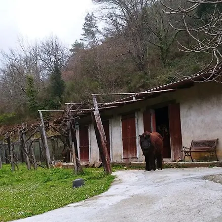 Agricamping Ponteraggio N.1 돌체아쿠아