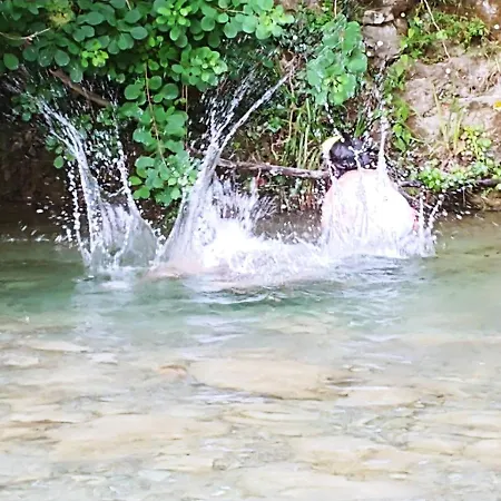 Agricamping Ponteraggio N.1 Campingplatz *