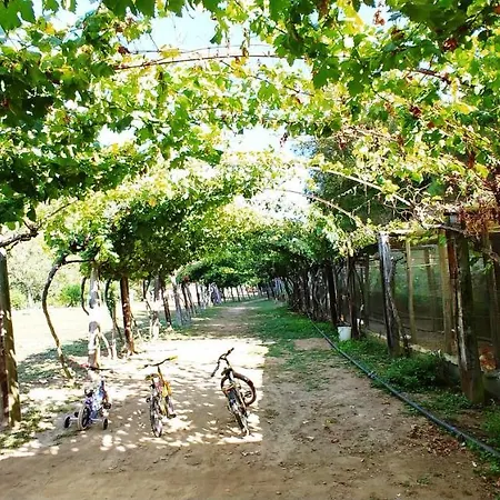 Agricamping Ponteraggio N.1 * 多尔切阿夸