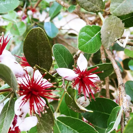 Agricamping Ponteraggio N.1 Campingplatz