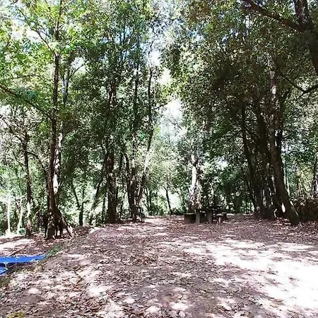 Agricamping Ponteraggio N.1 多尔切阿夸