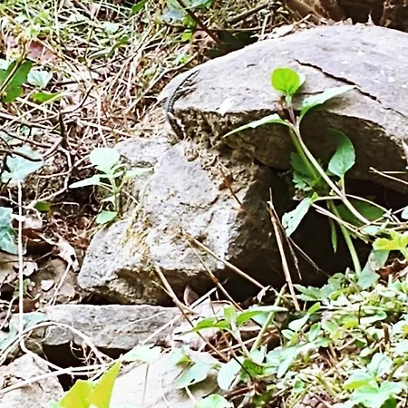 Agricamping Ponteraggio N.1 Dolceacqua