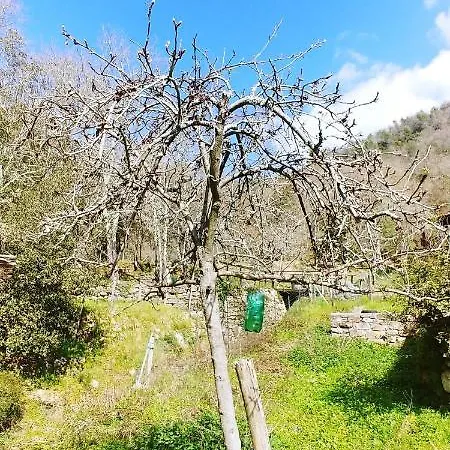 Agricamping Ponteraggio N.1 *