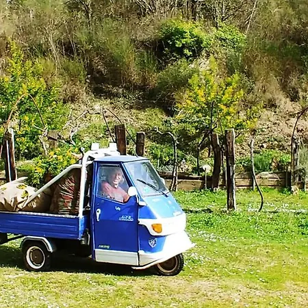 Agricamping Ponteraggio N.1 Kamp alanı