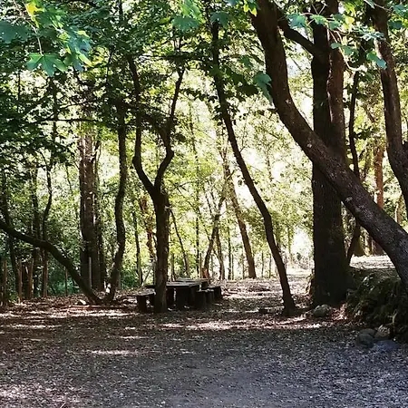 Agricamping Ponteraggio N.1 * Dolceacqua