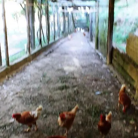 Agricamping Ponteraggio N.1 ドルチェアックア