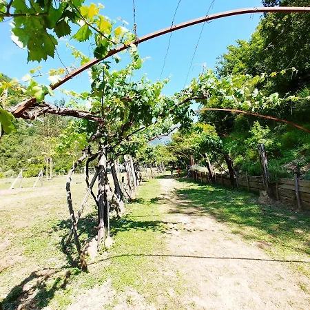 Kamp alanı Agricamping Ponteraggio N.1 *