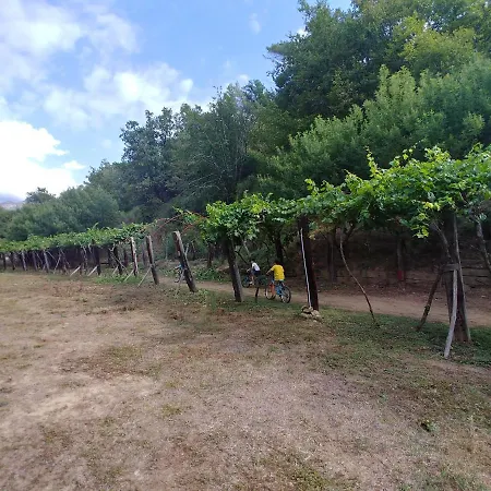 Agricamping Ponteraggio N.1
