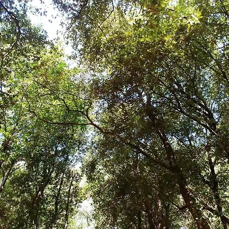 Kamp alanı Agricamping Ponteraggio N.1 *