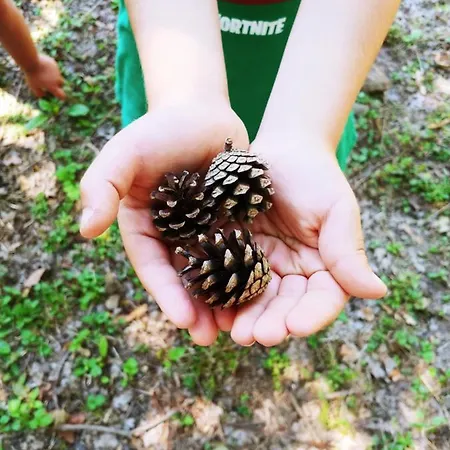 Campingplads Agricamping Ponteraggio N.1