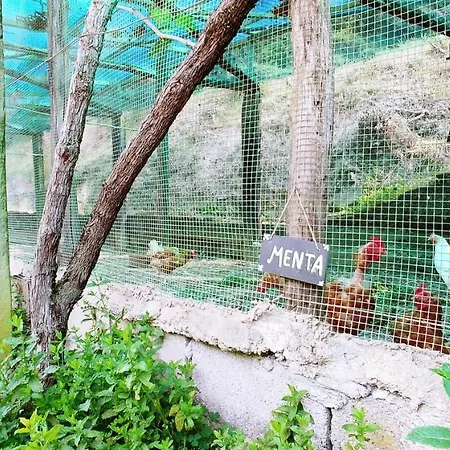 Agricamping Ponteraggio N.1 * Dolceacqua