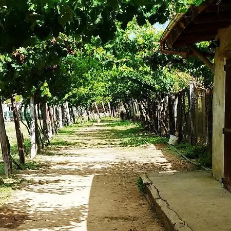 Agricamping Ponteraggio N.1 Kamp alanı Dolceacqua