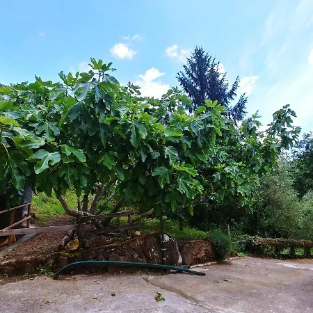 Agricamping Ponteraggio N.1