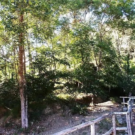 Kamp alanı Agricamping Ponteraggio N.1 *