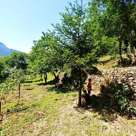Agricamping Ponteraggio N.1