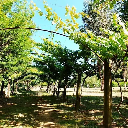 Agricamping Ponteraggio N.1 Kamp alanı Dolceacqua