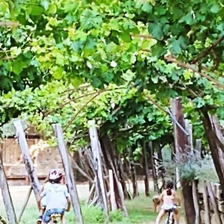 Agricamping Ponteraggio N.1 Kamp alanı *