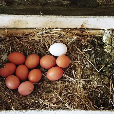 Agricamping Ponteraggio N.1 キャンプ場 *