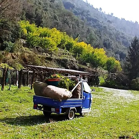 Agricamping Ponteraggio N.1 Dolceacqua