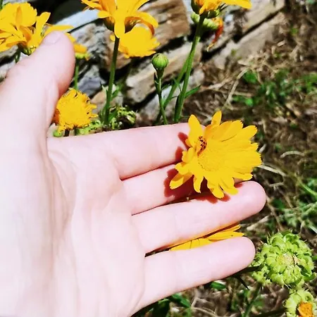 Agricamping Ponteraggio N.1 Kamp alanı *
