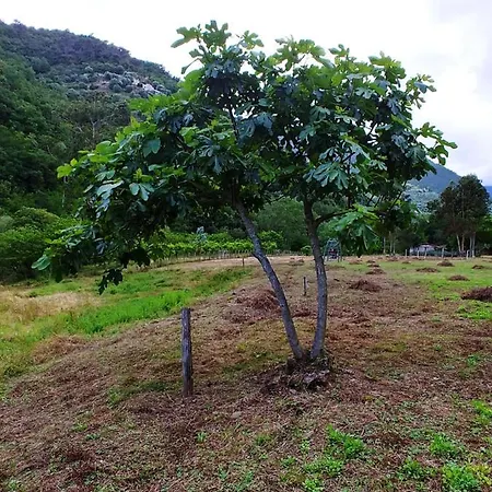 Agricamping Ponteraggio N.1 ドルチェアックア