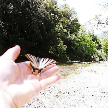 Campingplatz Agricamping Ponteraggio N.1 Dolceacqua