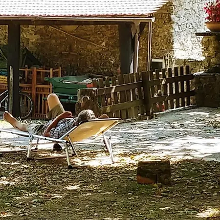 Agricamping Ponteraggio N.1 Kamp alanı *