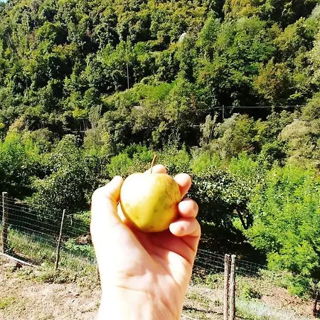 Kamp alanı Agricamping Ponteraggio N.1