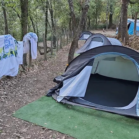Agricamping Ponteraggio N.1 Campingplatz Dolceacqua