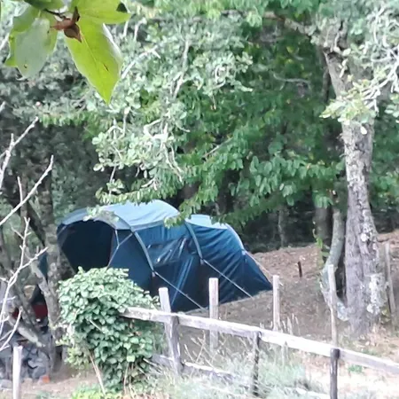 Agricamping Ponteraggio N.1 Kamp alanı