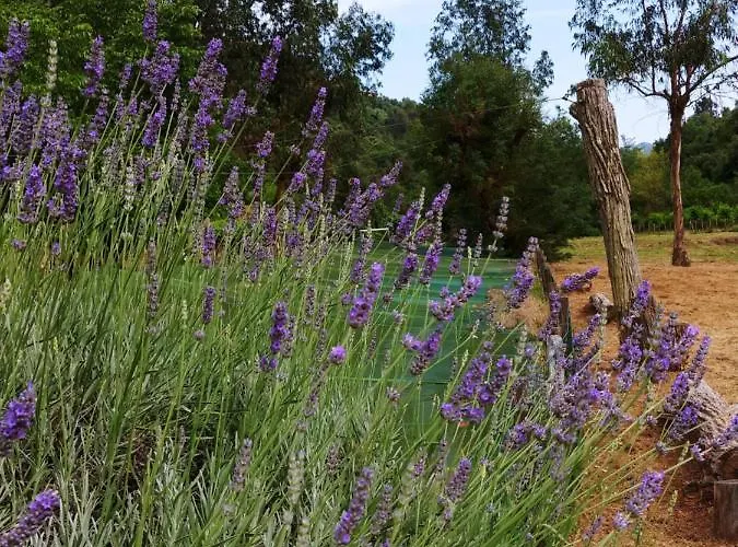 Agricamping Ponteraggio N.1 Dolceacqua