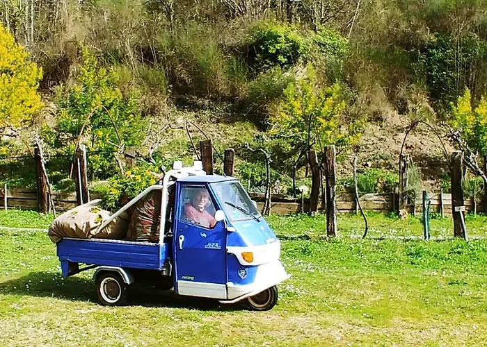 Agricamping Ponteraggio N.1 Kemp