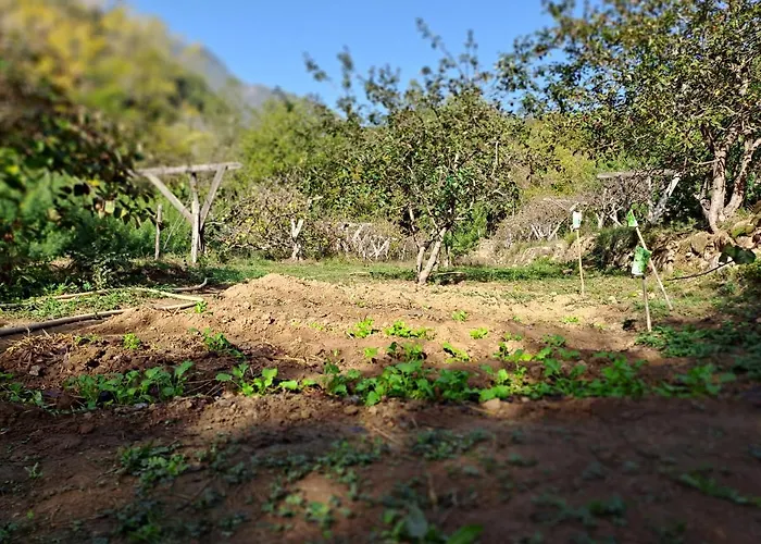 Agricamping Ponteraggio N.1