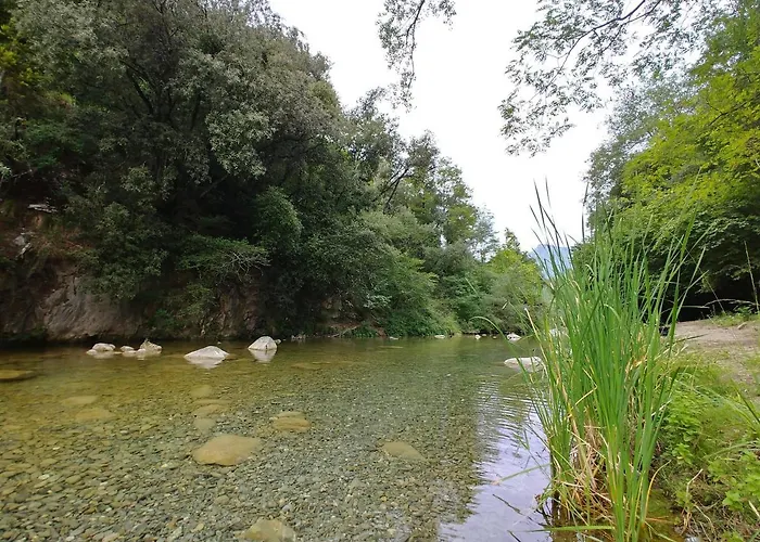 Agricamping Ponteraggio N.1 Kemp