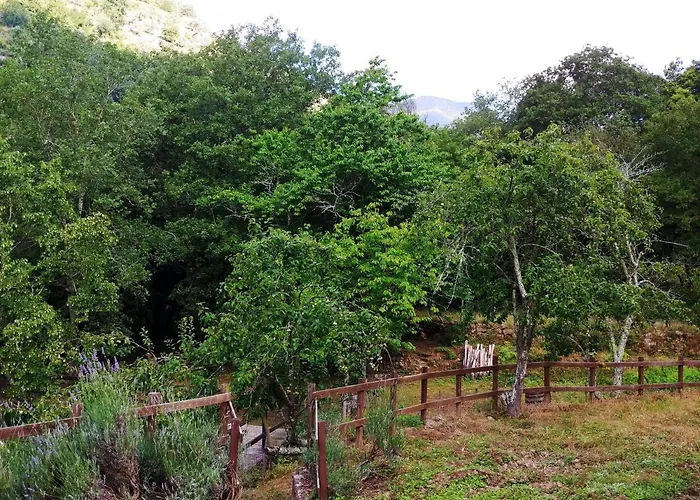 Agricamping Ponteraggio N.1