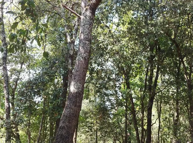 Agricamping Ponteraggio N.1 Dolceacqua