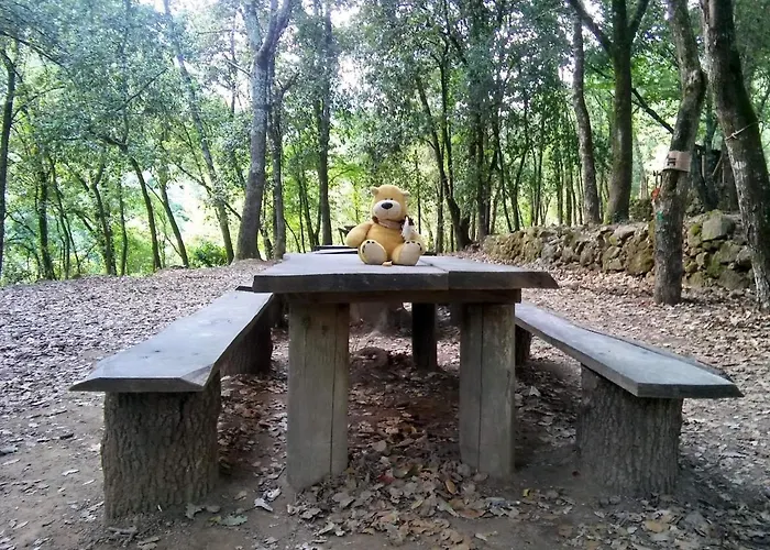 Agricamping Ponteraggio N.1 Kemp Dolceacqua