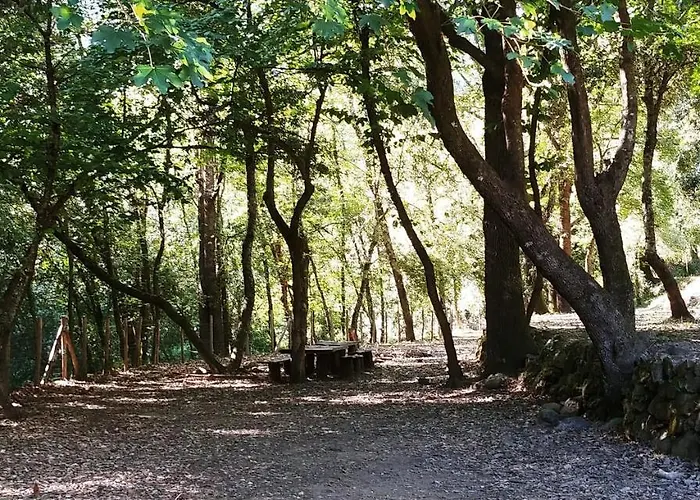 Agricamping Ponteraggio N.1 * Dolceacqua