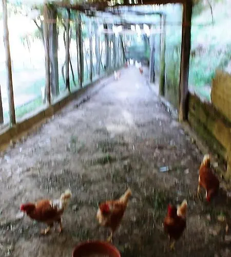 Agricamping Ponteraggio N.1 Dolceacqua