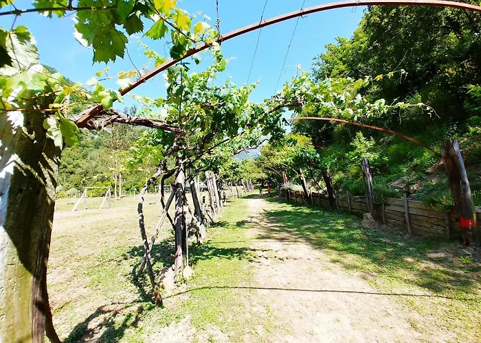 Camping Agricamping Ponteraggio N.1 *