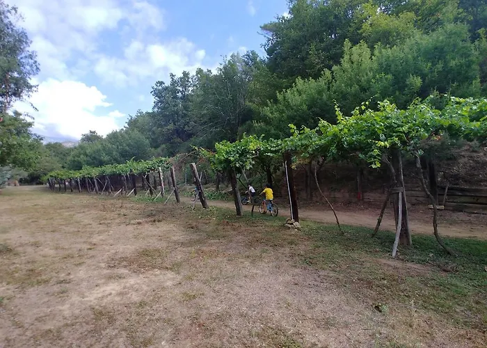 Agricamping Ponteraggio N.1