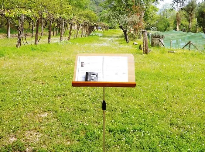 Agricamping Ponteraggio N.1